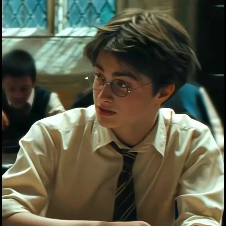 NastyFish1340의 Harry potter