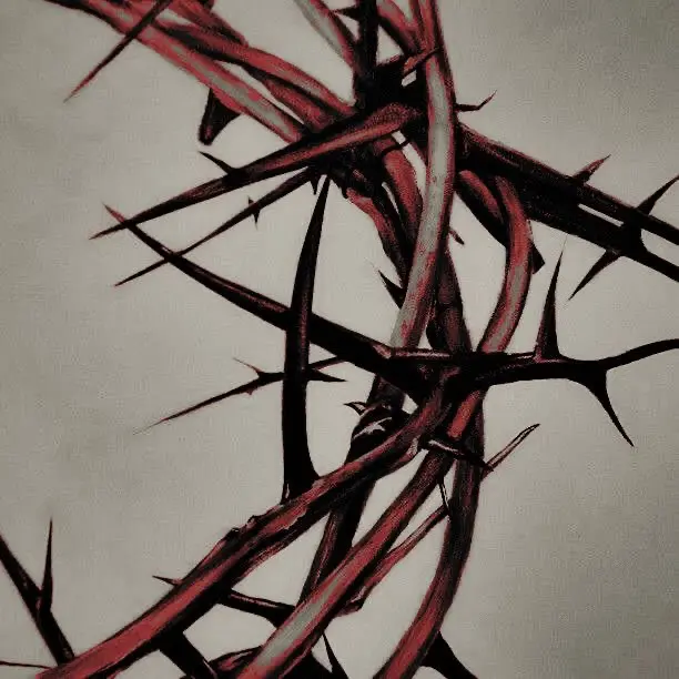 athoraron의 우범석