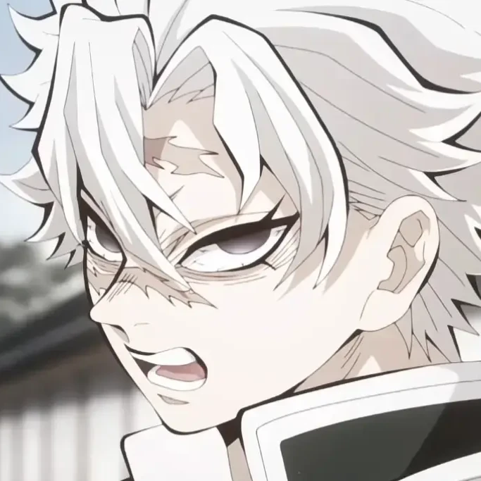 시나즈가와 사네미