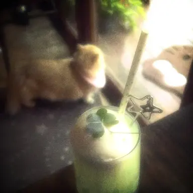 Profile image of 공룡