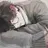 문진우