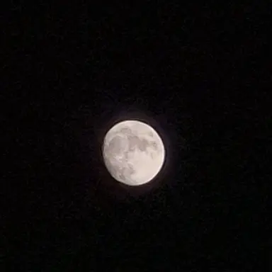 Profile image of 세미