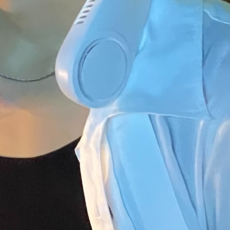 양 대표 이미지