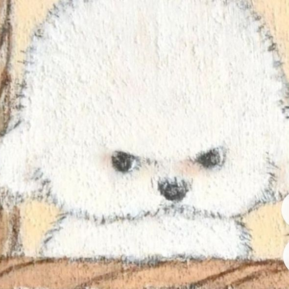강석준 대표 이미지