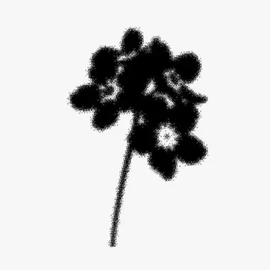 Profile image of 켄타