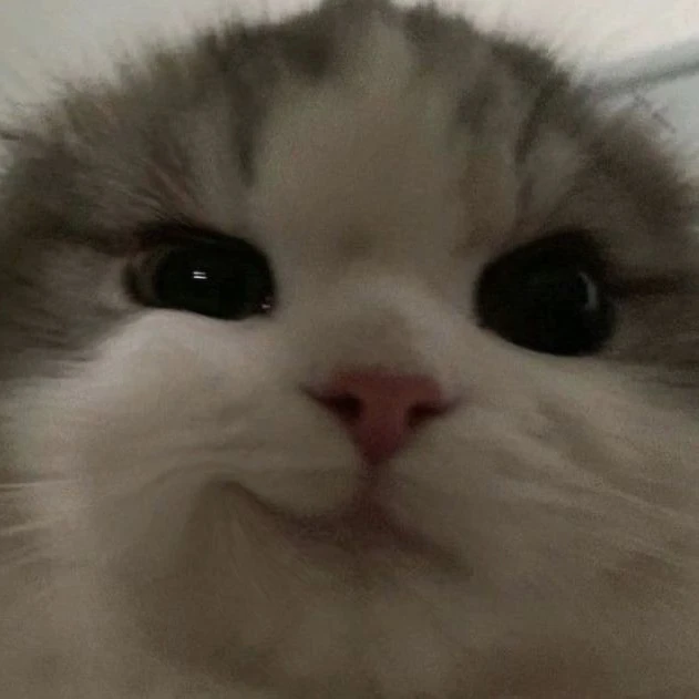 동민
