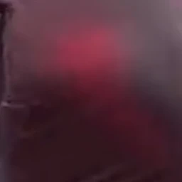 김설화