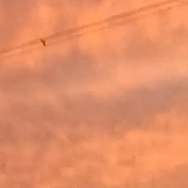 Profile image of James potter