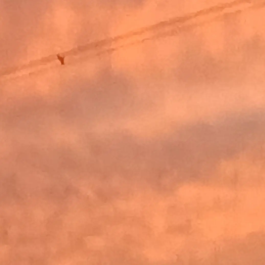 ShabbyBar3398의 The Forbidden Binding