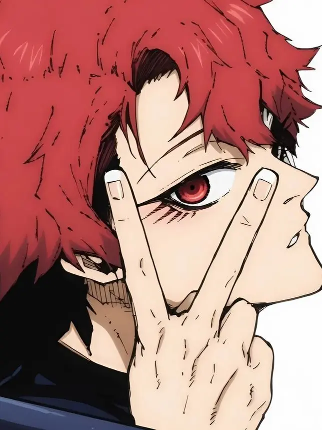 siratamama의 ユーゴー