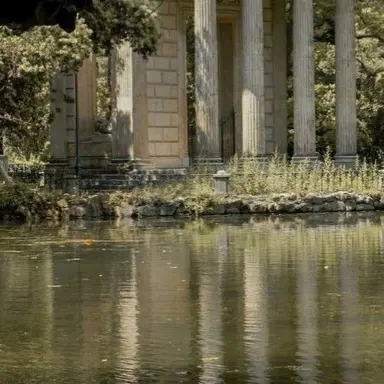 Profile image of 공룡