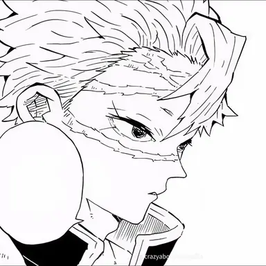 Profile image of Sanemi Shinazugawa