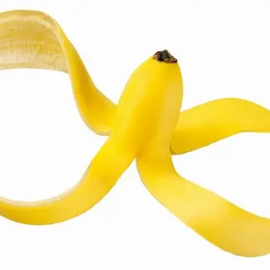 Profile image of 페리