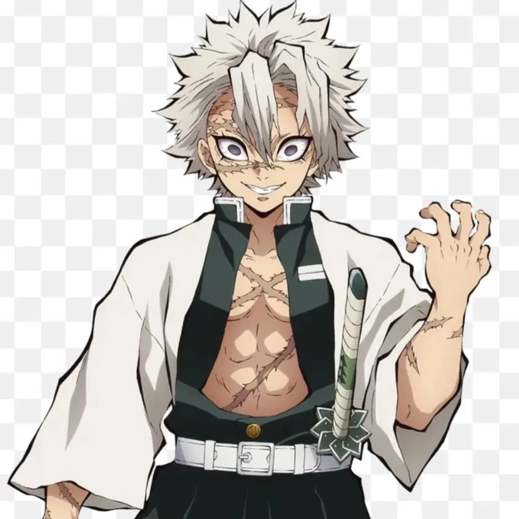 시나즈가와 사네미