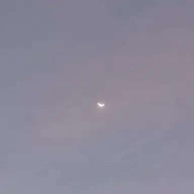 Profile image of 루이쨘