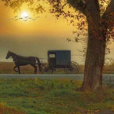 Profile image of Jonas