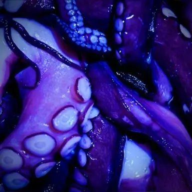 Profile image of 괴물