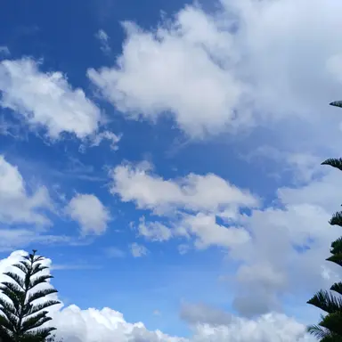 Profile image of 백현