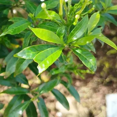 Profile image of 아름