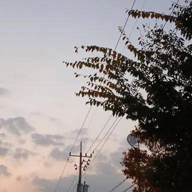 Profile image of 준브레드