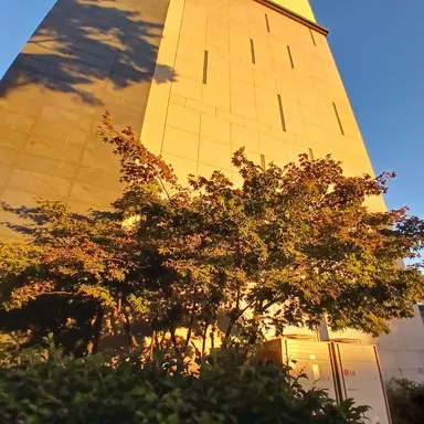 Profile image of 홍챠