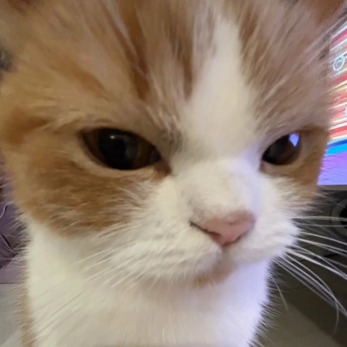 강태현