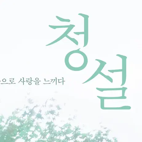 Crazyguitar의 청설