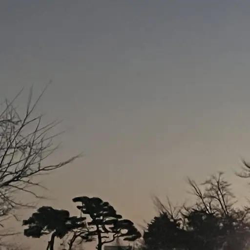 CannyRose0452의 의미없는 애