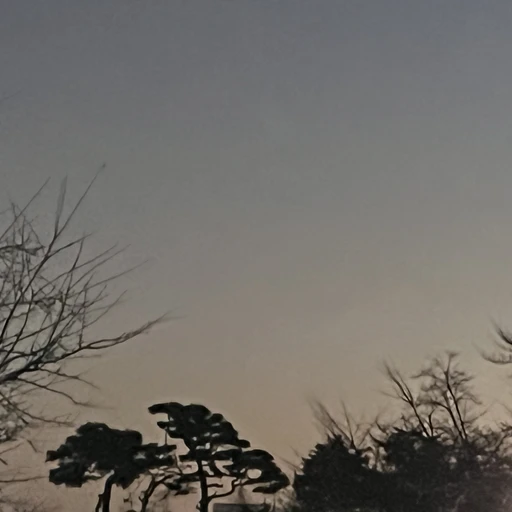 의미없는 애