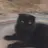 민희