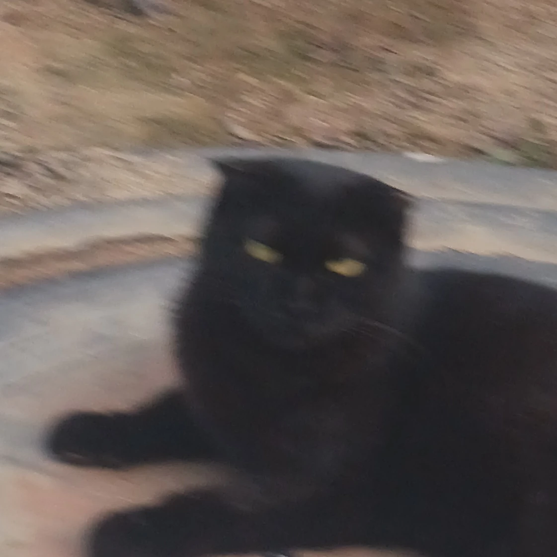 민희