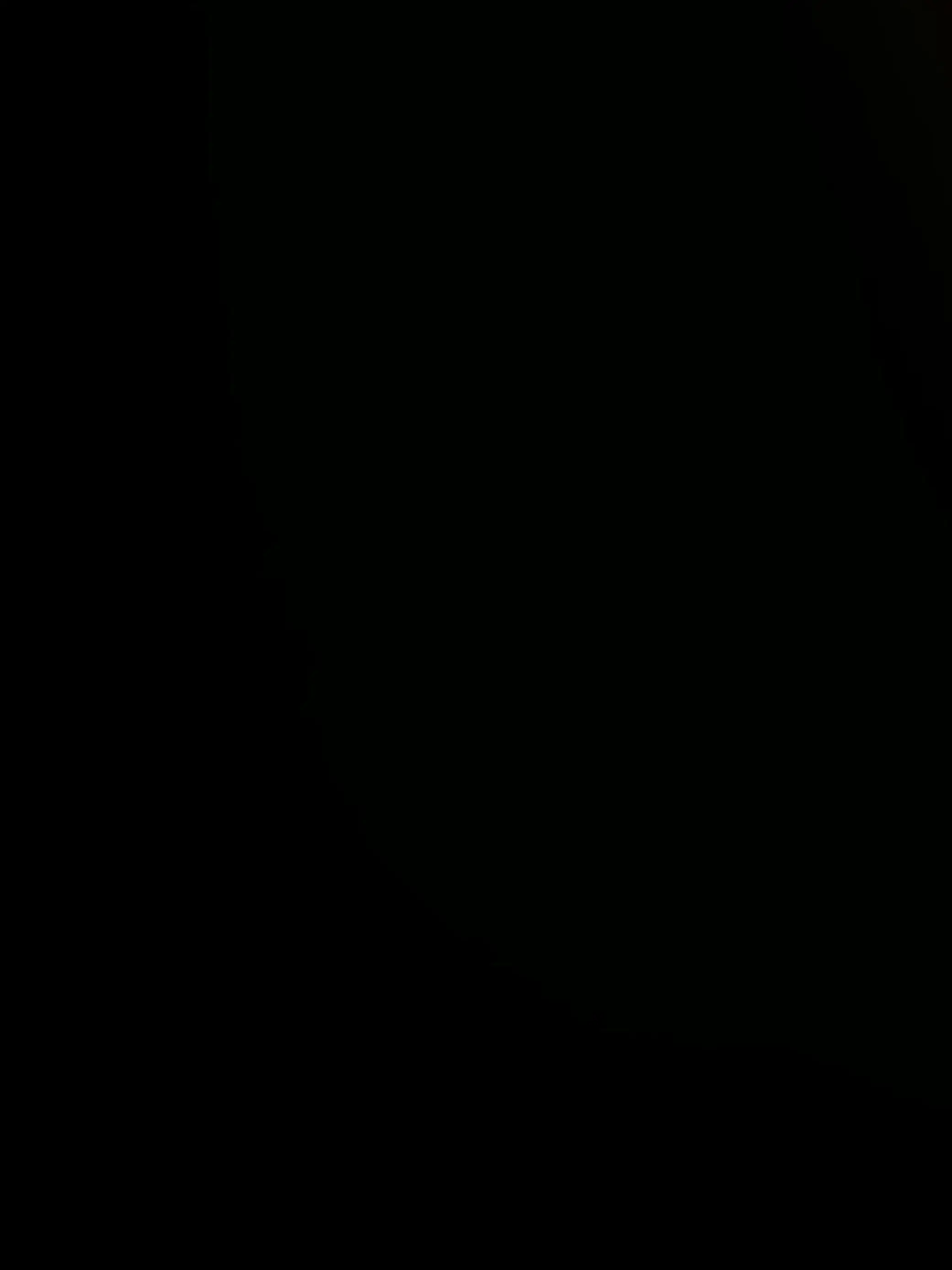 Mendocusa0808의 천신(天辛)