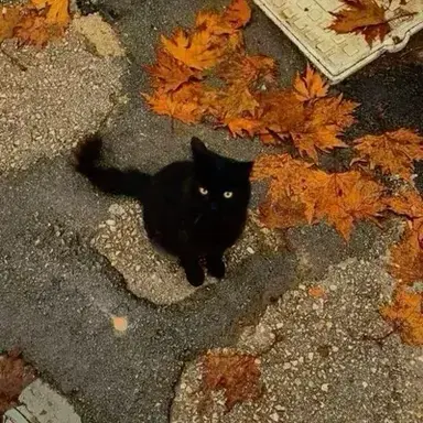 Profile image of Small town