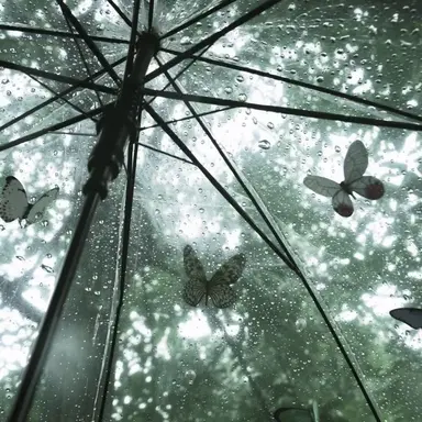 Profile image of 곽보성