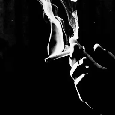 Profile image of 서도영