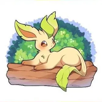 Profile image of Lin