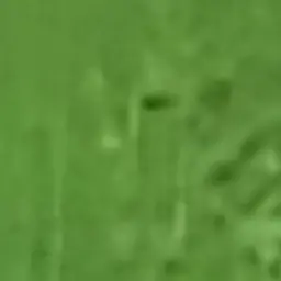 Profile image of 쉘리