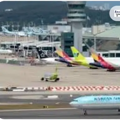 Profile image of 뜰팁 항공