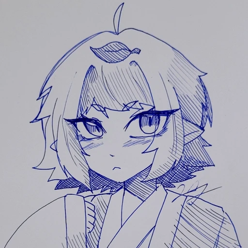 코니