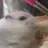 별이