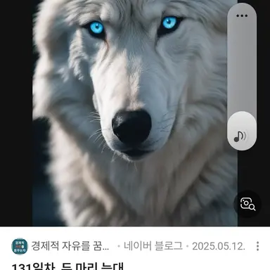 Profile image of 늑대