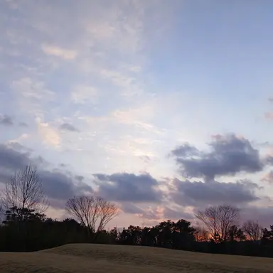 Profile image of 라더