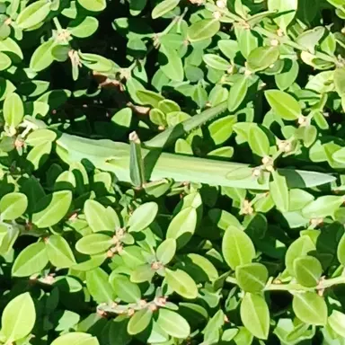 Profile image of 레이드