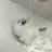 이수현