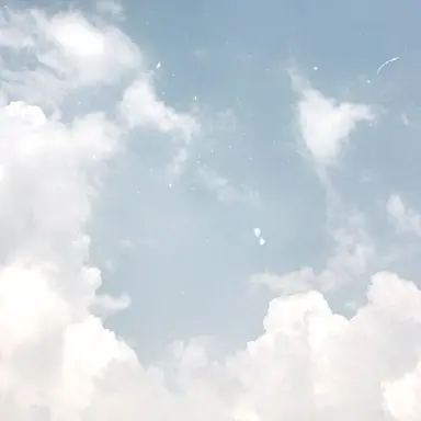 Profile image of 蓮