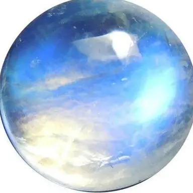 Profile image of 여우