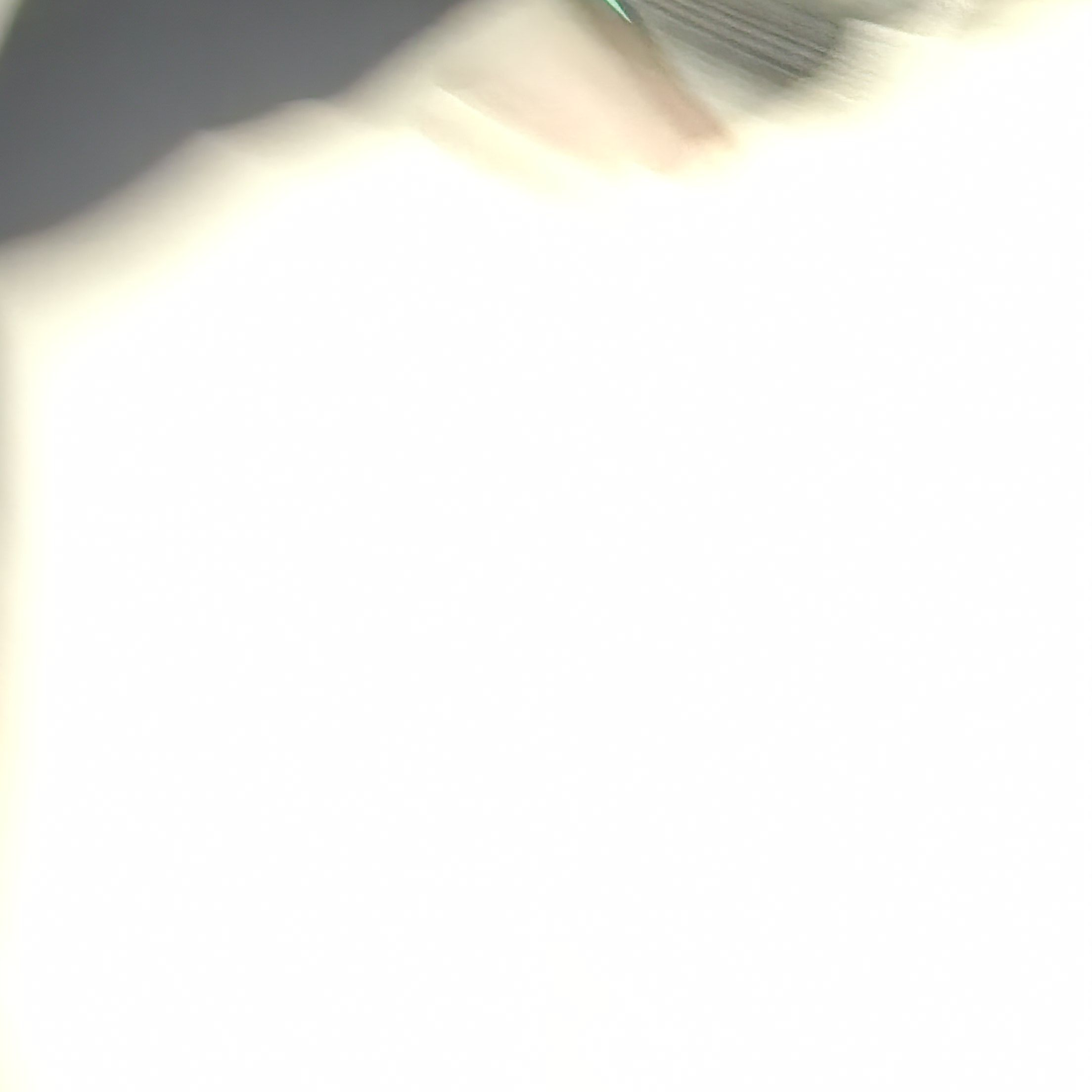 여자배구 gs 칼택스 선수로 활약하기 대표 이미지