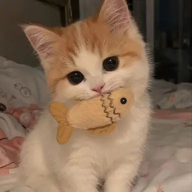 Profile image of Cheese