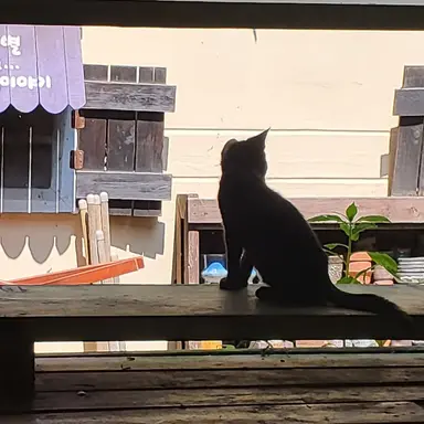 Profile image of 평학