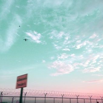 “ 계약 조건은— ” 대표 이미지